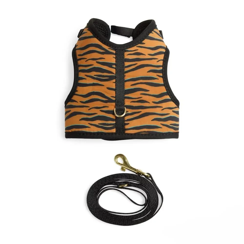 Tiger Kitten Harness and Leash Set - XS